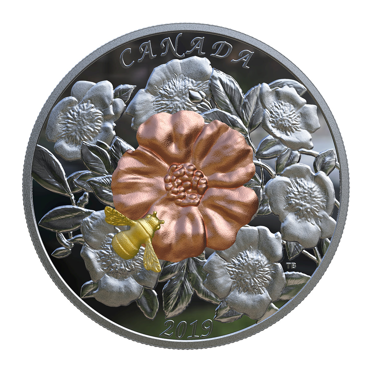 The Bumble Bee and The Bloom - 2019 Canada 5 oz Pure Silver Coin